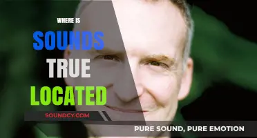 Discovering Sounds True: Unveiling the Location of the Mindful Media Hub