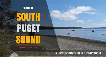 Exploring South Puget Sound: Location, Geography, and Hidden Gems