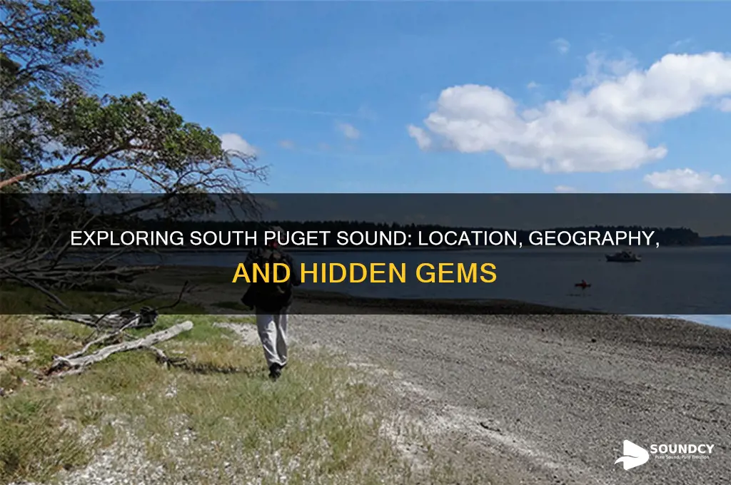 where is south puget sound