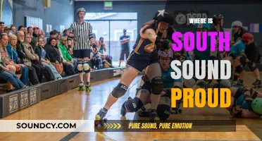 Exploring South Sound Pride: Where Community Spirit Shines Brightest