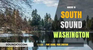 Exploring South Sound Washington: Location, Cities, and Hidden Gems