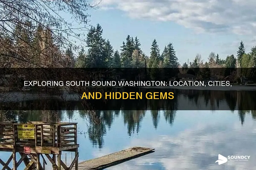 where is south sound washington