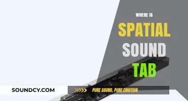 Where is the Spatial Sound Tab? A Quick Guide to Finding It