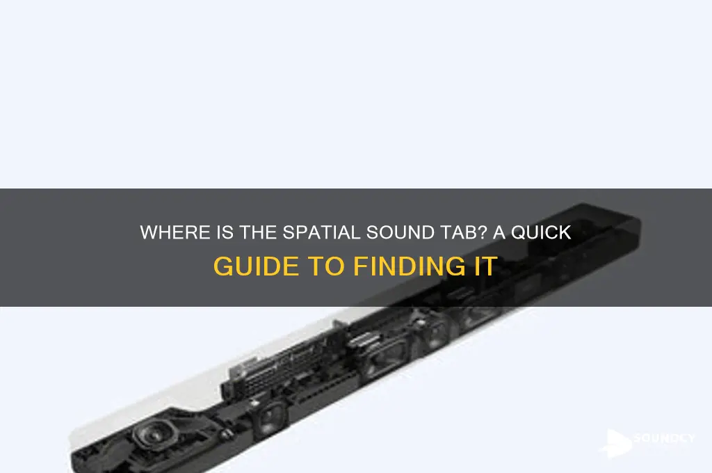where is spatial sound tab