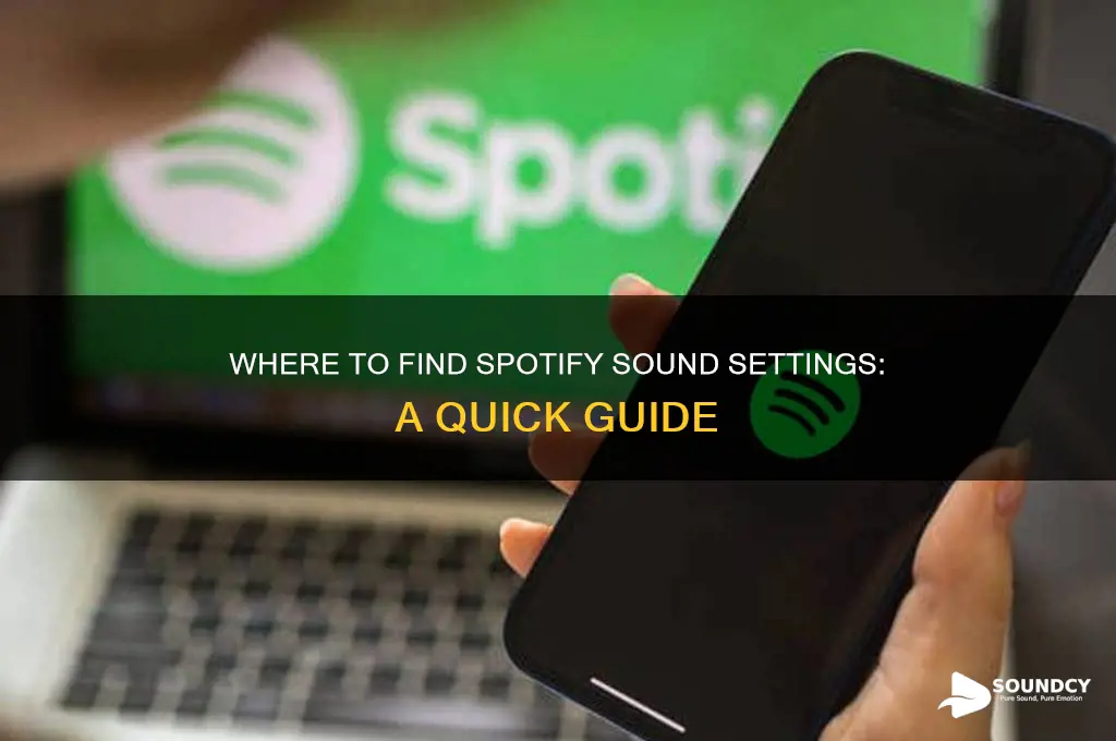 where is spotify sound settings