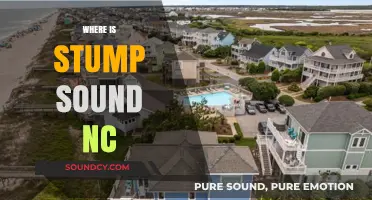 Discovering Stump Sound, NC: Location, Charm, and Hidden Gems