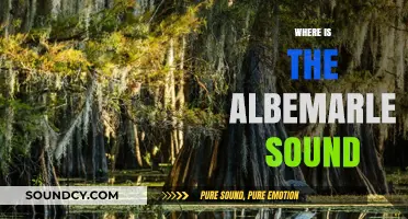 Discovering the Location of Albemarle Sound: A Coastal Carolina Gem