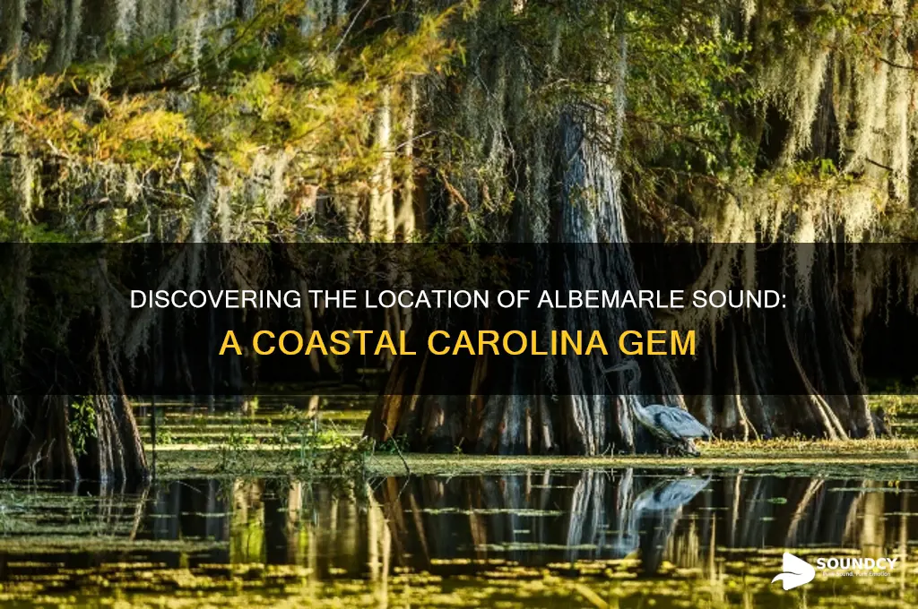 where is the albemarle sound