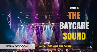 Discovering BayCare Sound's Location: A Comprehensive Guide for Visitors