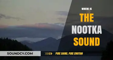 Exploring Nootka Sound: Location, History, and Hidden Gems of Vancouver Island