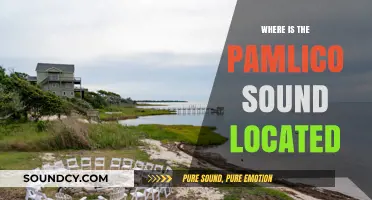 Pamlico Sound: A North Carolina Gem