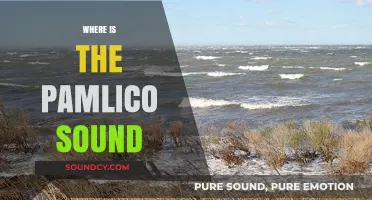 Exploring Pamlico Sound: Location, Geography, and Coastal Carolina Charm