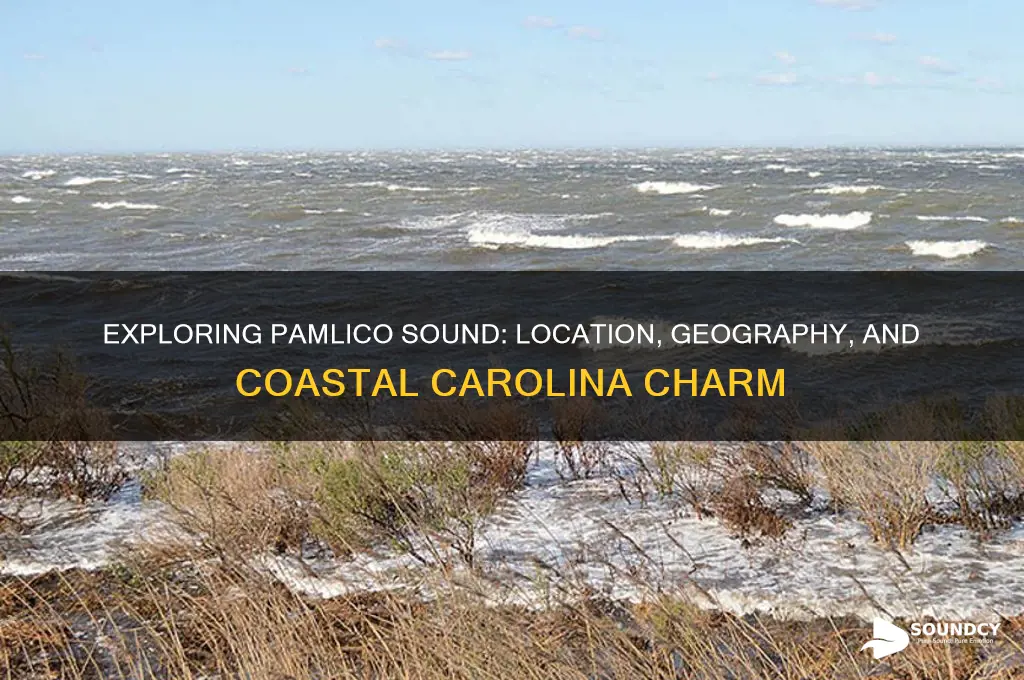 where is the pamlico sound