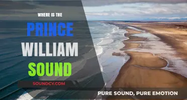 Exploring Prince William Sound: A Majestic Alaskan Paradise