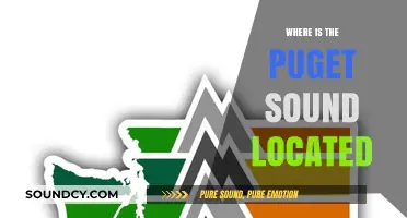 The Puget Sound: A Northwest Gem
