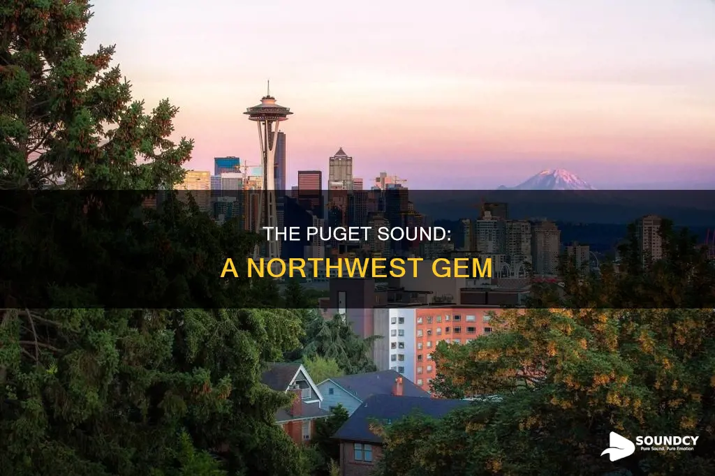where is the puget sound located