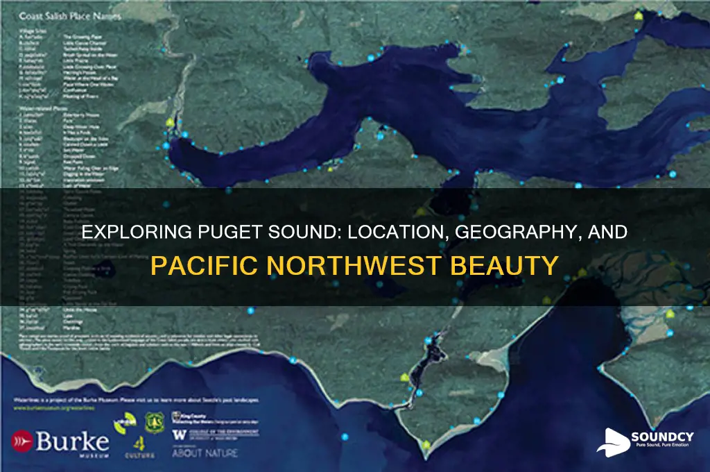 where is the puget sound