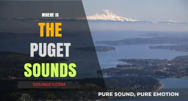 Exploring the Puget Sound: Location, Geography, and Natural Wonders