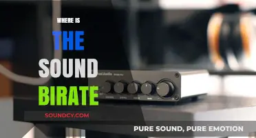 Exploring the Mystery: Where is the Sound Birate Located?