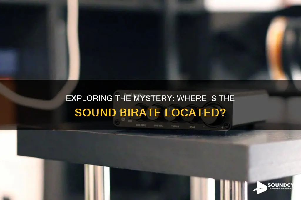 where is the sound birate