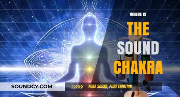 Locating the Sound Chakra: A Guide to Vishuddha's Placement