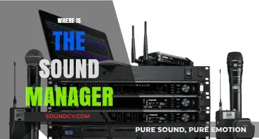 Where is the Sound Manager? Locating Your Audio Control Settings