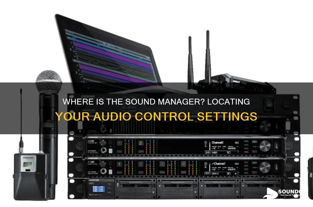 where is the sound manager
