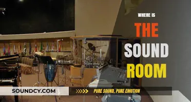 Unveiling the Mystery: Locating Your Ideal Sound Room Setup