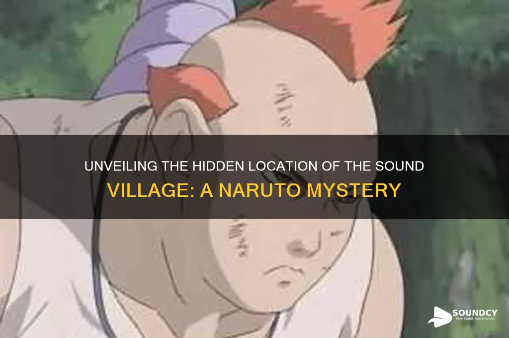 where is the sound village