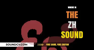 Exploring the Zh Sound: Its Origins, Usage, and Linguistic Presence