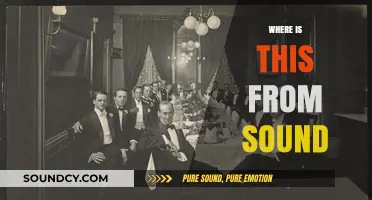 Unraveling the Origins of Mysterious Sounds: A Journey to Their Source