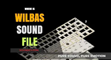 Where is Wilba's Sound File? A Comprehensive Search Guide