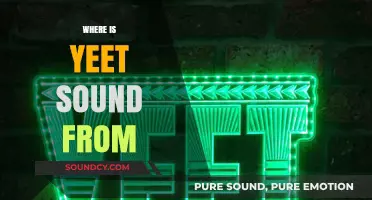 Unraveling the Origins: Where Did the Yeet Sound Come From?
