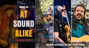 Where It's At Sound-Alike: Uncovering Musical Twins and Hidden Gems
