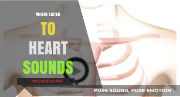 Mastering Auscultation: Optimal Locations to Listen to Heart Sounds