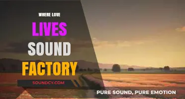 Where Love Lives: Exploring the Magic of Sound Factory's Legacy