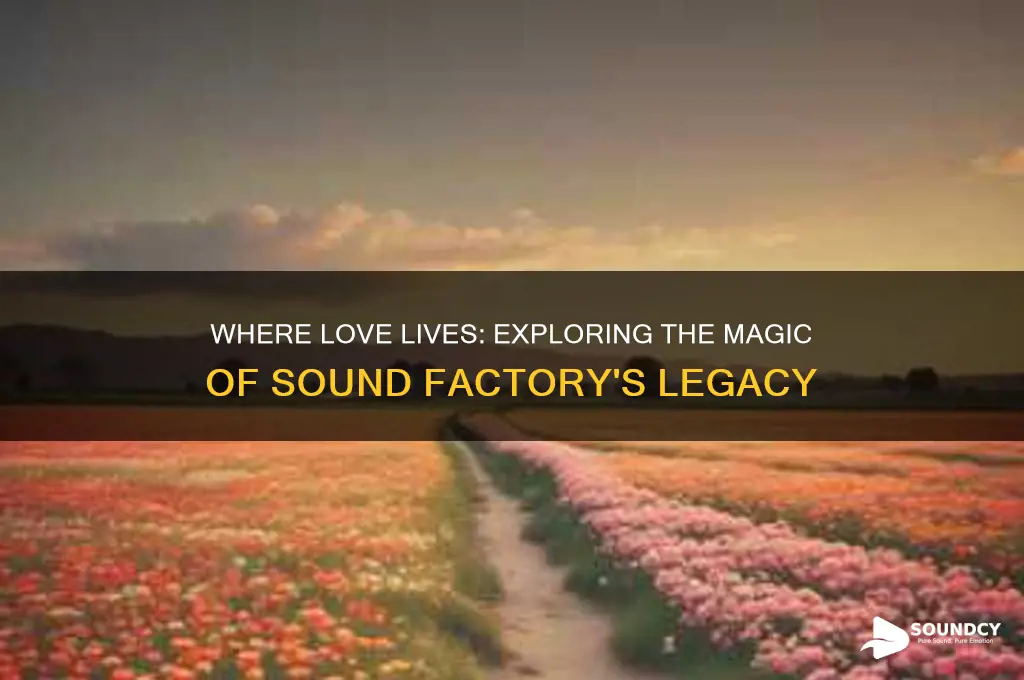 where love lives sound factory
