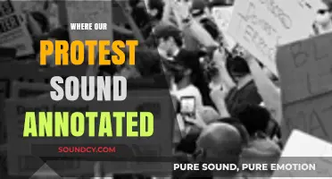 Amplifying Voices: Annotating the Echoes of Our Protest Sound