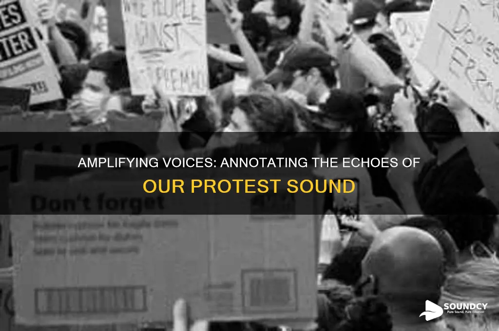 where our protest sound annotated