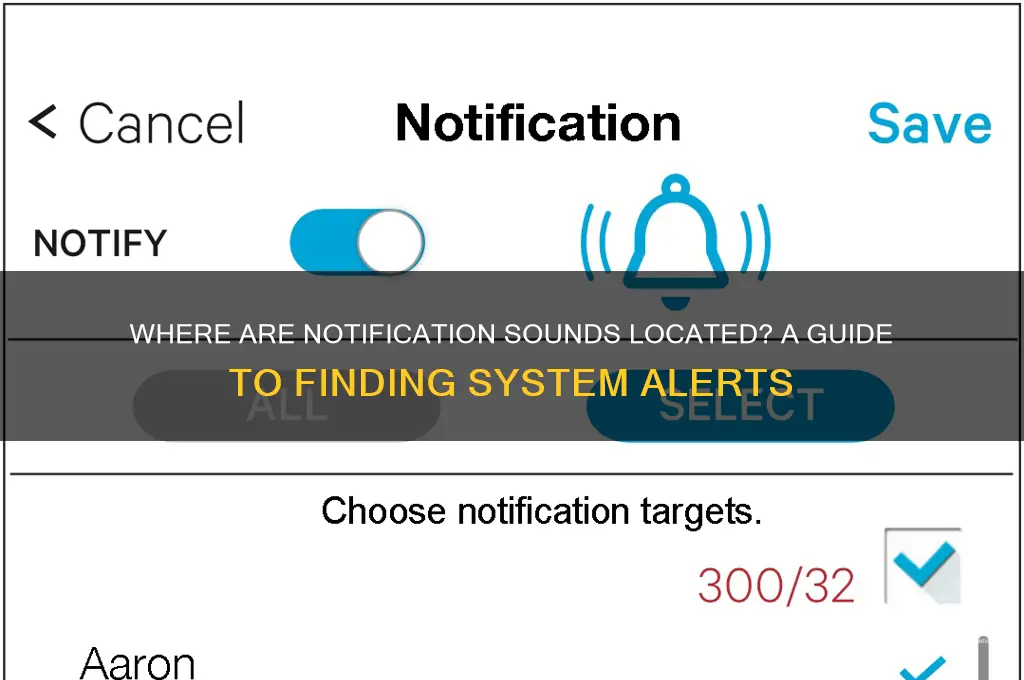 where r notification sounds located