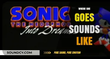 Where She Goes Sounds Like: A Sonic Journey Through Her Adventures