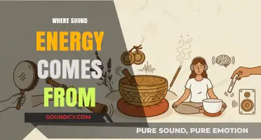 Unveiling the Origins: Exploring the Source of Sound Energy
