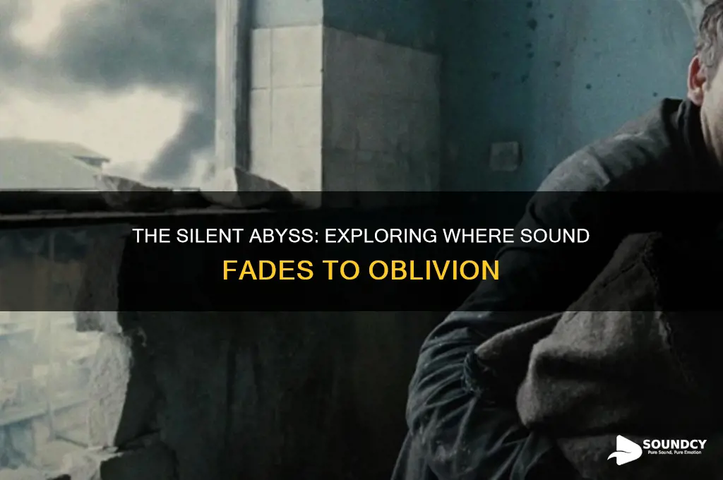where sound goes to die