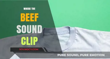 Where's the Beef? Uncovering the Origins of the Iconic Sound Clip
