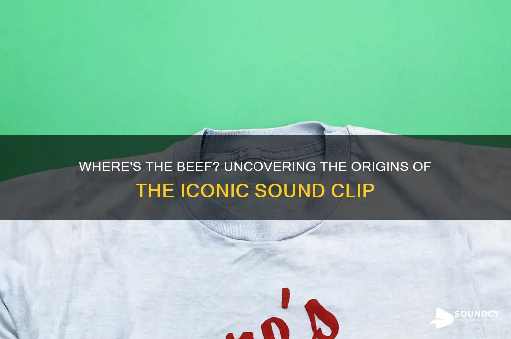 where the beef sound clip