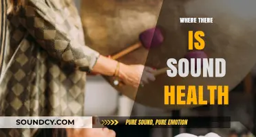 Where There Is Sound Health: Nurturing Wellness for a Vibrant Life