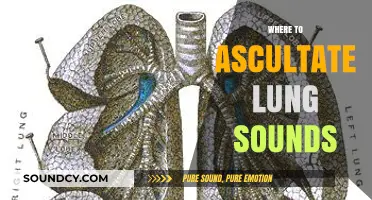 Mastering Lung Auscultation: Optimal Locations for Accurate Sound Assessment