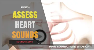 Mastering Heart Sound Assessment: Optimal Locations for Accurate Auscultation