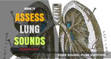 Mastering Lung Sound Assessment: Optimal Locations for Accurate Auscultation