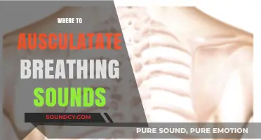 Mastering Auscultation: Key Locations to Detect Breathing Sounds Effectively